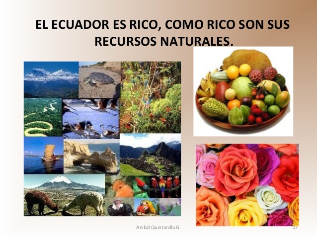 El Ecuador Rico En Recursos Naturales Quizizz