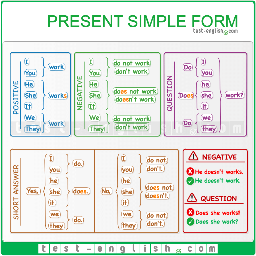 PRESENT SIMPLE Affirmative Negative Questions 950 Plays Quizizz