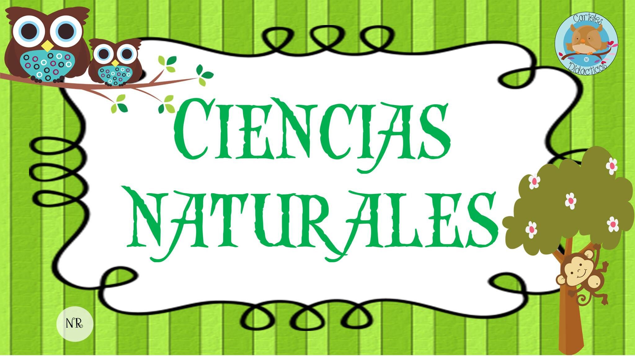 Ciencias Naturales Science Quiz Quizizz