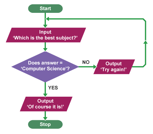 Pseudocode Flowcharts Algorithms Quiz Quizizz