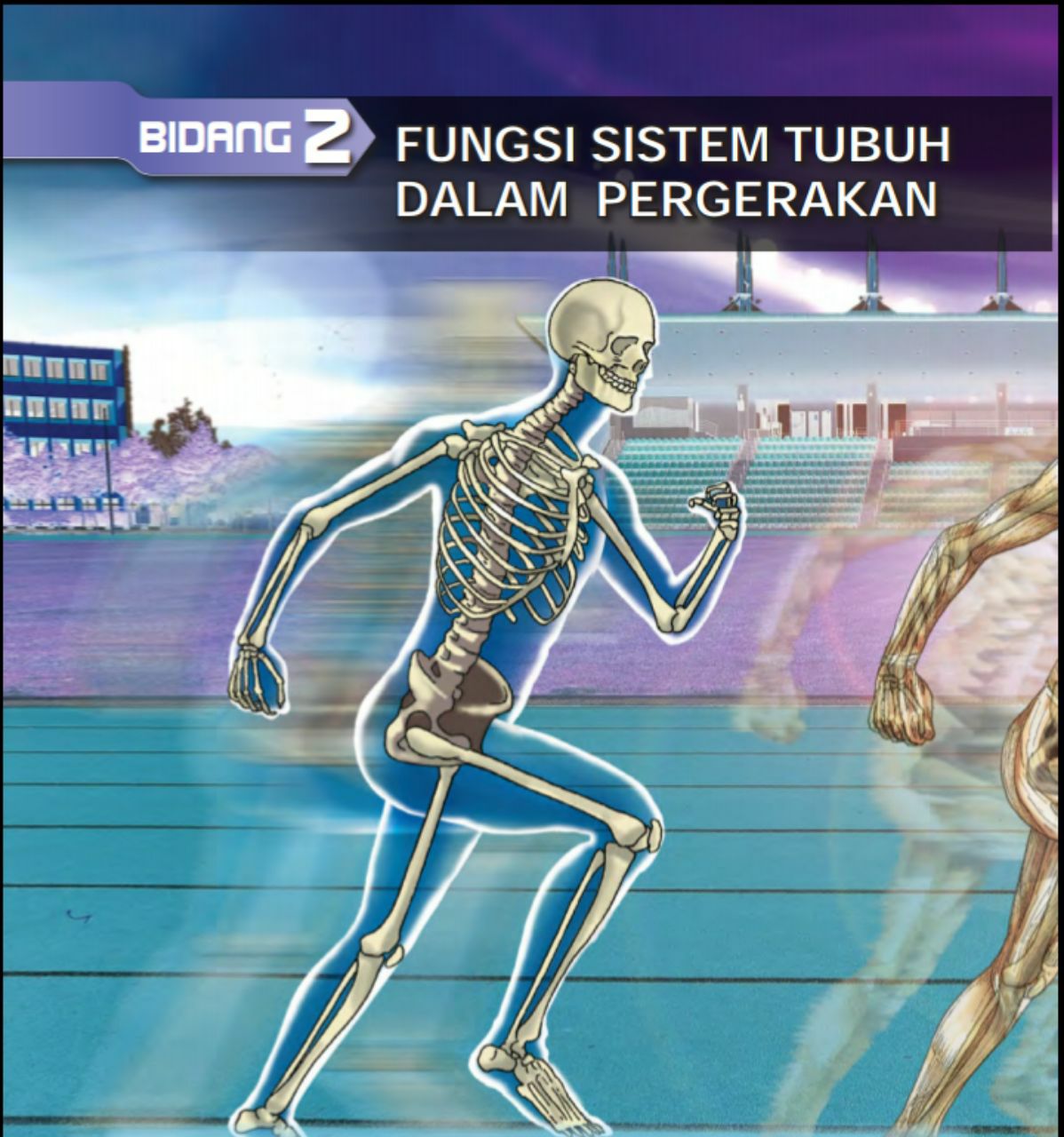 Bidang Fungsi Sistem Tubuh Dalam Pergerakan Plays