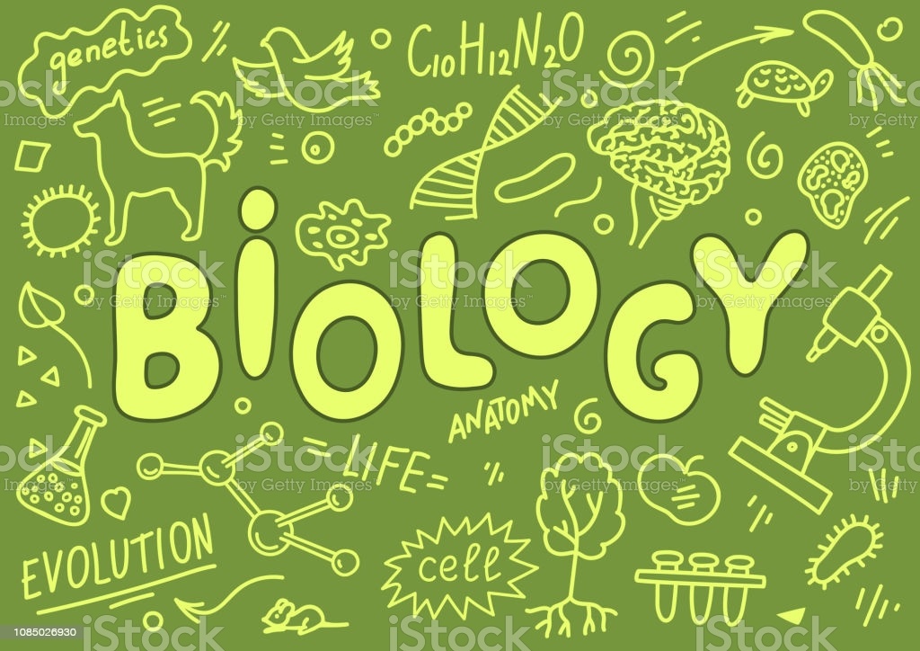 Biologie Teststoff Klasse Quizizz