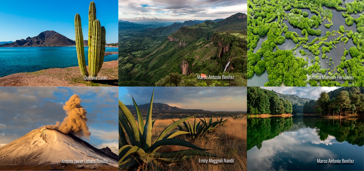 Regiones Naturales De M Xico Quizizz