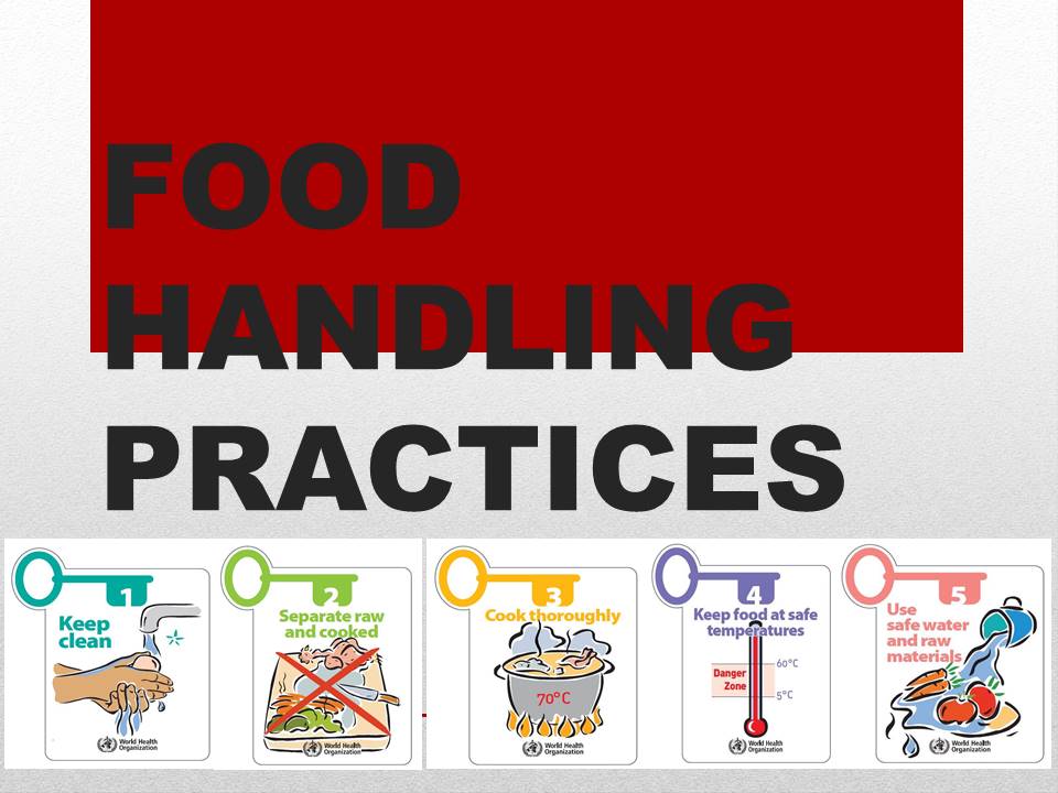 Food Handling Practices Quizizz