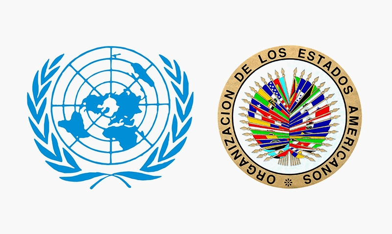 Cuadro Comparativo ONU Y OEA Assessment