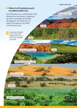 Strefy Klimatyczne I Krajobrazowe Kl5 Geography Quizizz