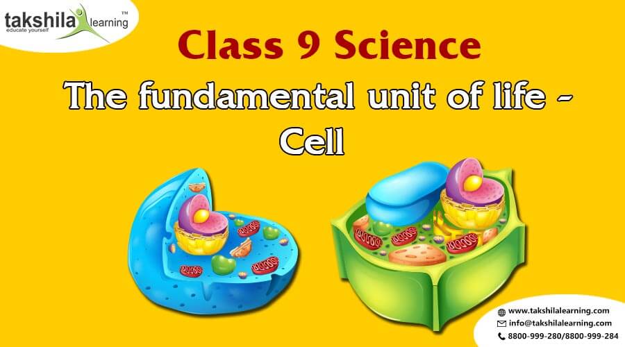 CBSE Science Grade 9 The Fundamental Unit Of Life Practice Questions