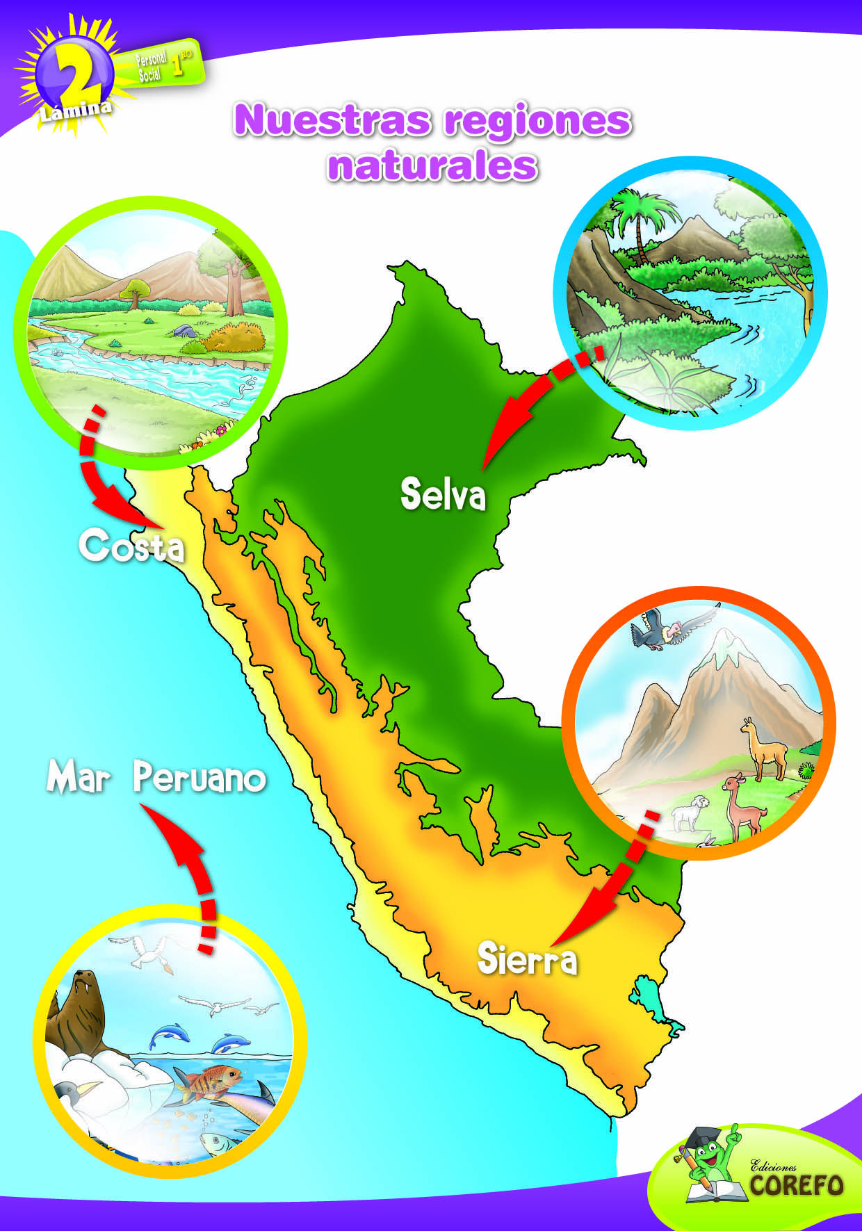 Regiones Naturales Del Peru Quizizz