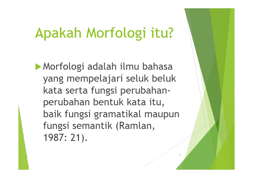 Mengenal Perbedaan Morfologi Anatomi Dan Fisiologi Dalam 41 OFF