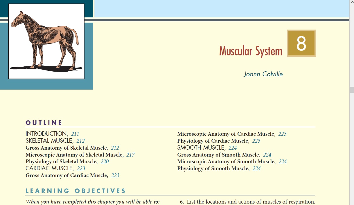 Muscular System Physiology Quizizz