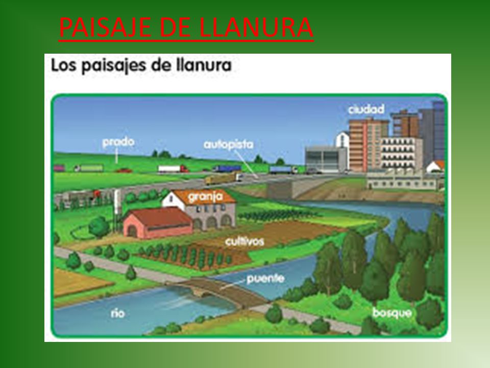 Paisaje De Llanura Geography Quizizz