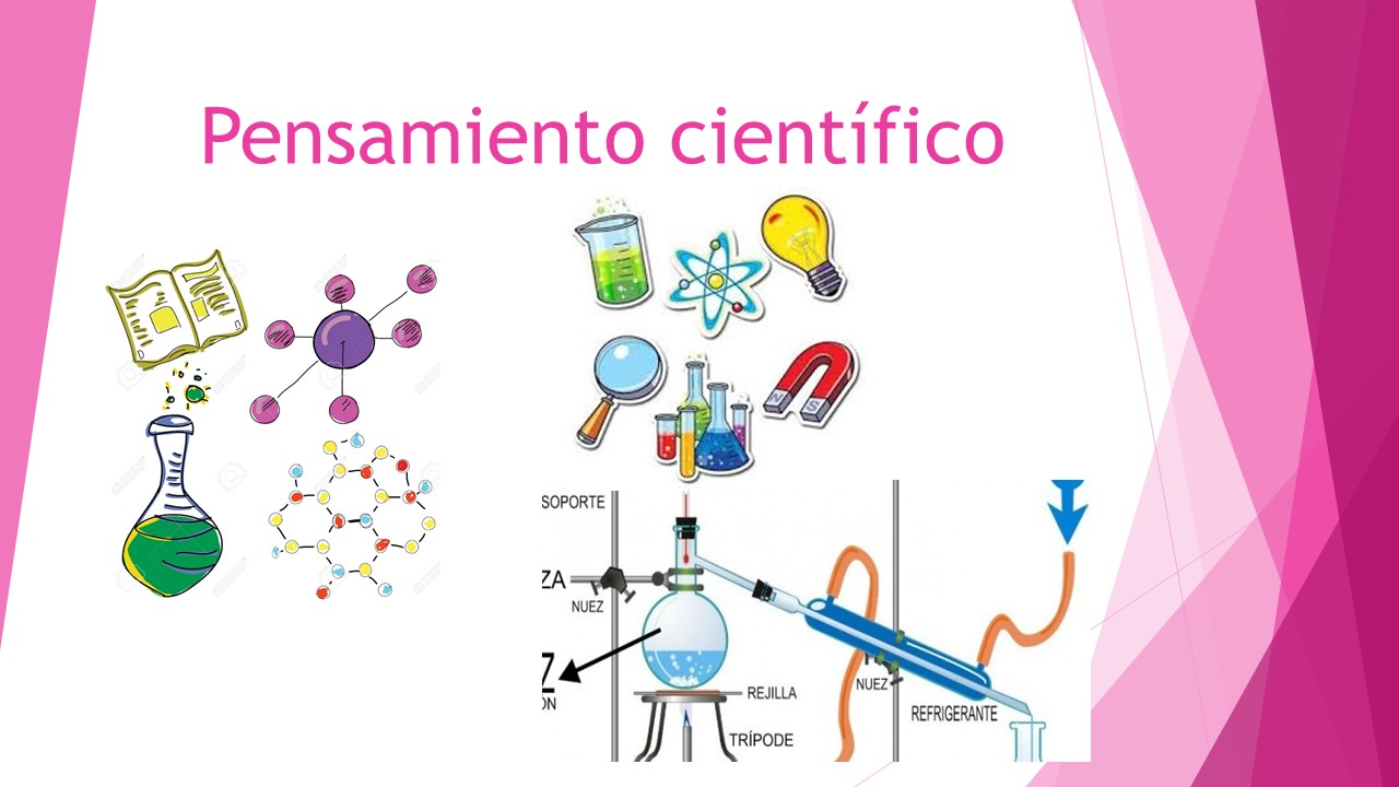 Evaluaci N Curso Pensamiento Cient Fico Quizizz