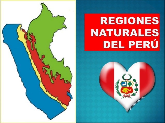 Las Regiones Naturales Del Peru Jugadas Quizizz The Best Porn Website