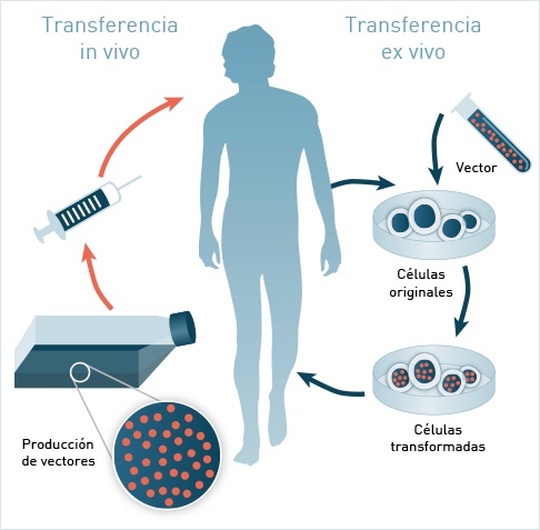 TERAPIA GÉNICA Assessment