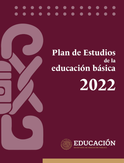 Ejes Articuladores Del Plan De Estudios Preguntas Y Respuestas