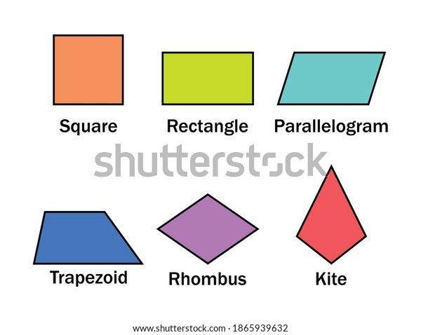 Quadrilateral Review Mathematics Quizizz