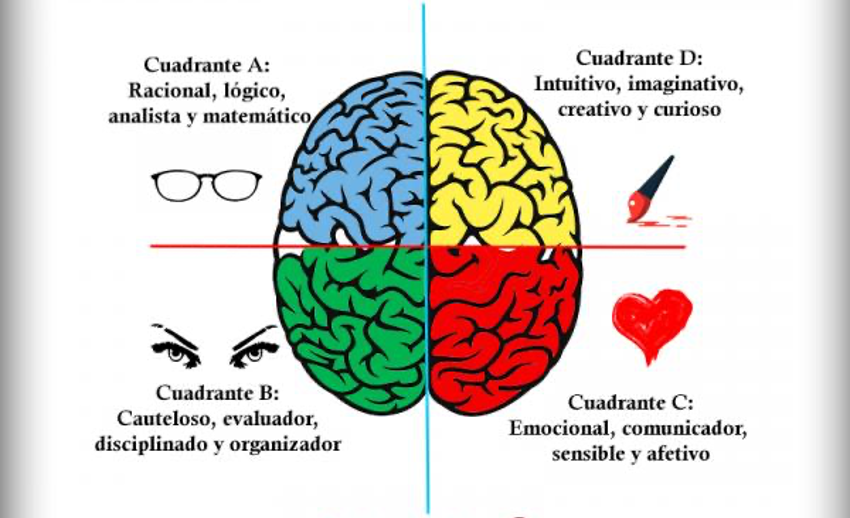 Que significa hemisferio