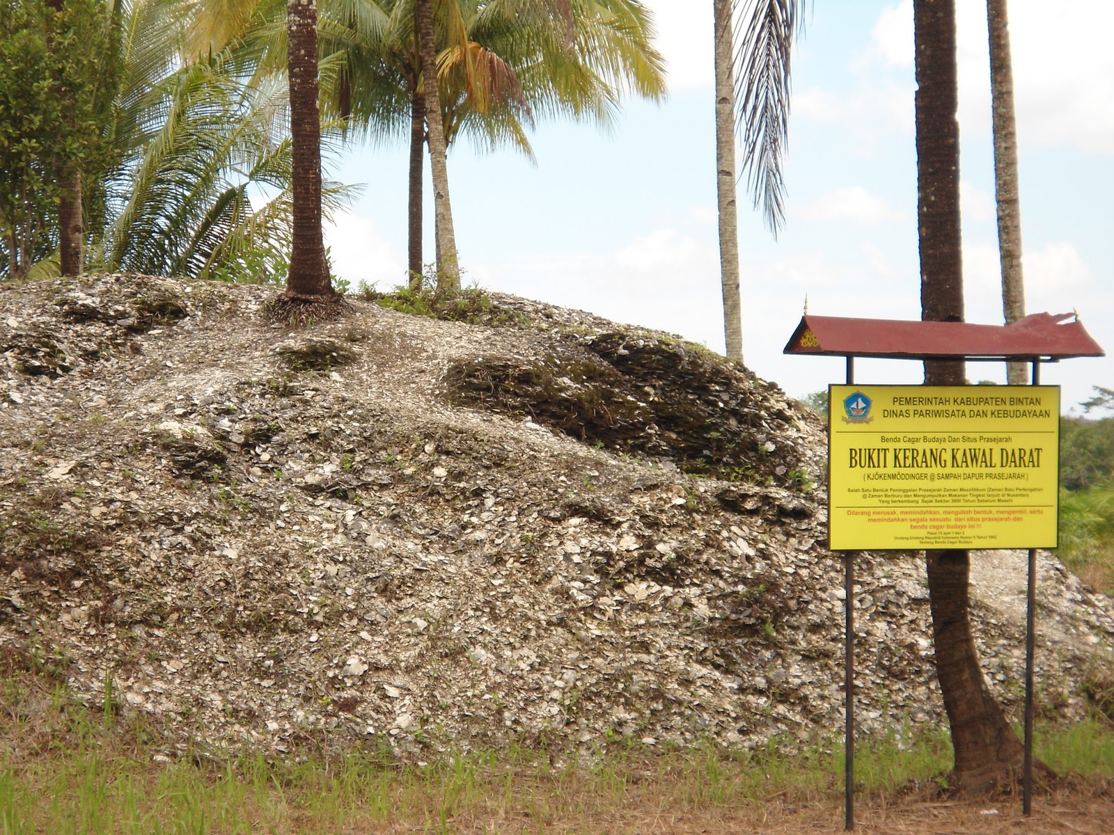 Bukit fosil yang terdiri kerang kulit-kulit kecil disebut dari tumpukan berupa PENDUDUK INDONESIA
