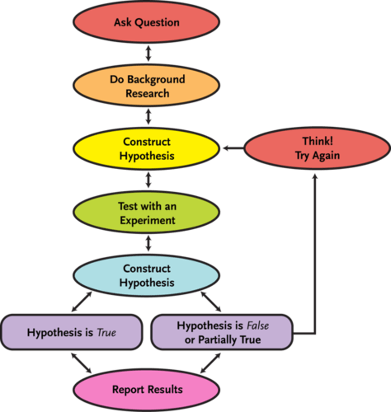 True report. Scientific method. Hypothesis thinking. Hypothetical Constructions. Charting method.