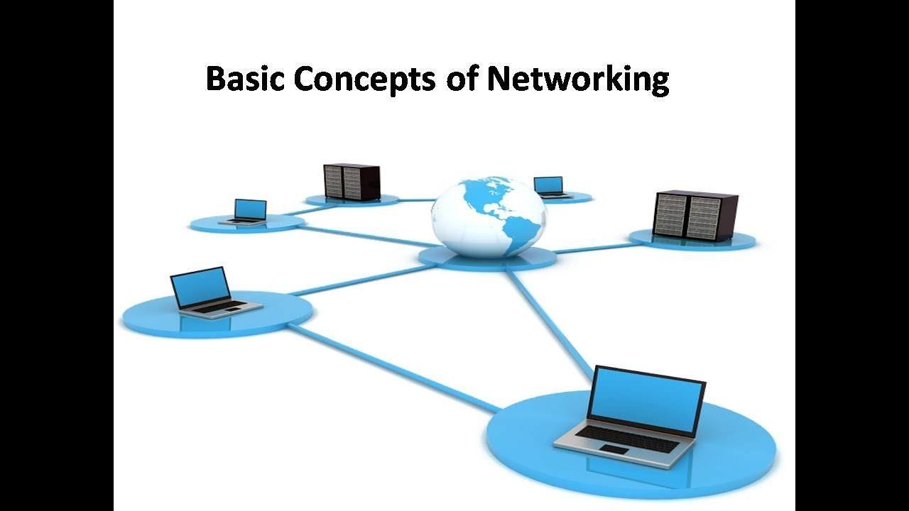 Network quiz. Basic Concepts.