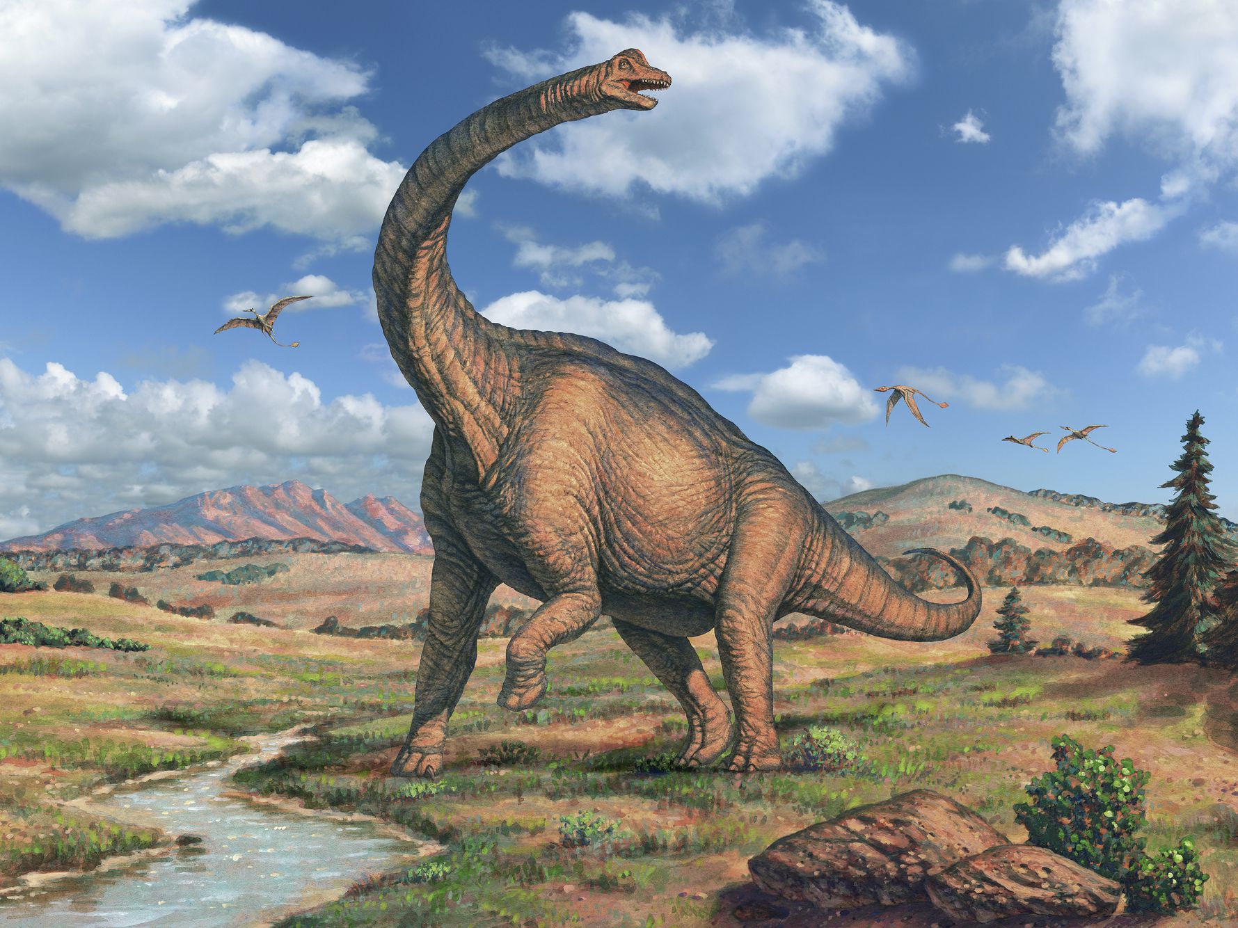 Зауроподы Брахиозавр