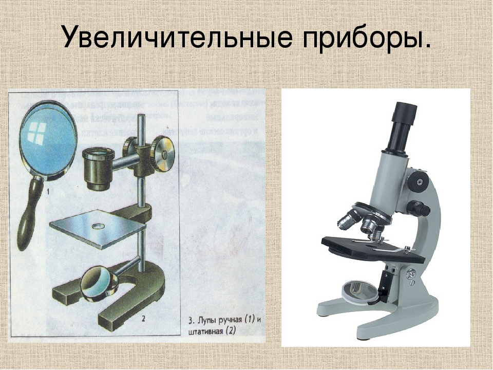 Схема штативной лупы