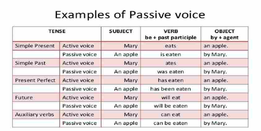 Could в пассивном залоге. Пассивный залог в английском языке. Active and Passive Voice. Active Voice and Passive Voice примеры. Конвертер Passive Voice.