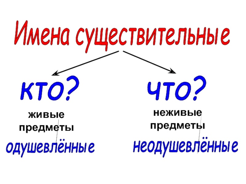 Имя существительное картинки. Одушевлённые и неодушевлённые предметы. Имя существительное. Слова предметы кто что. Одушевленные и неодушевленные имена существительные таблица.