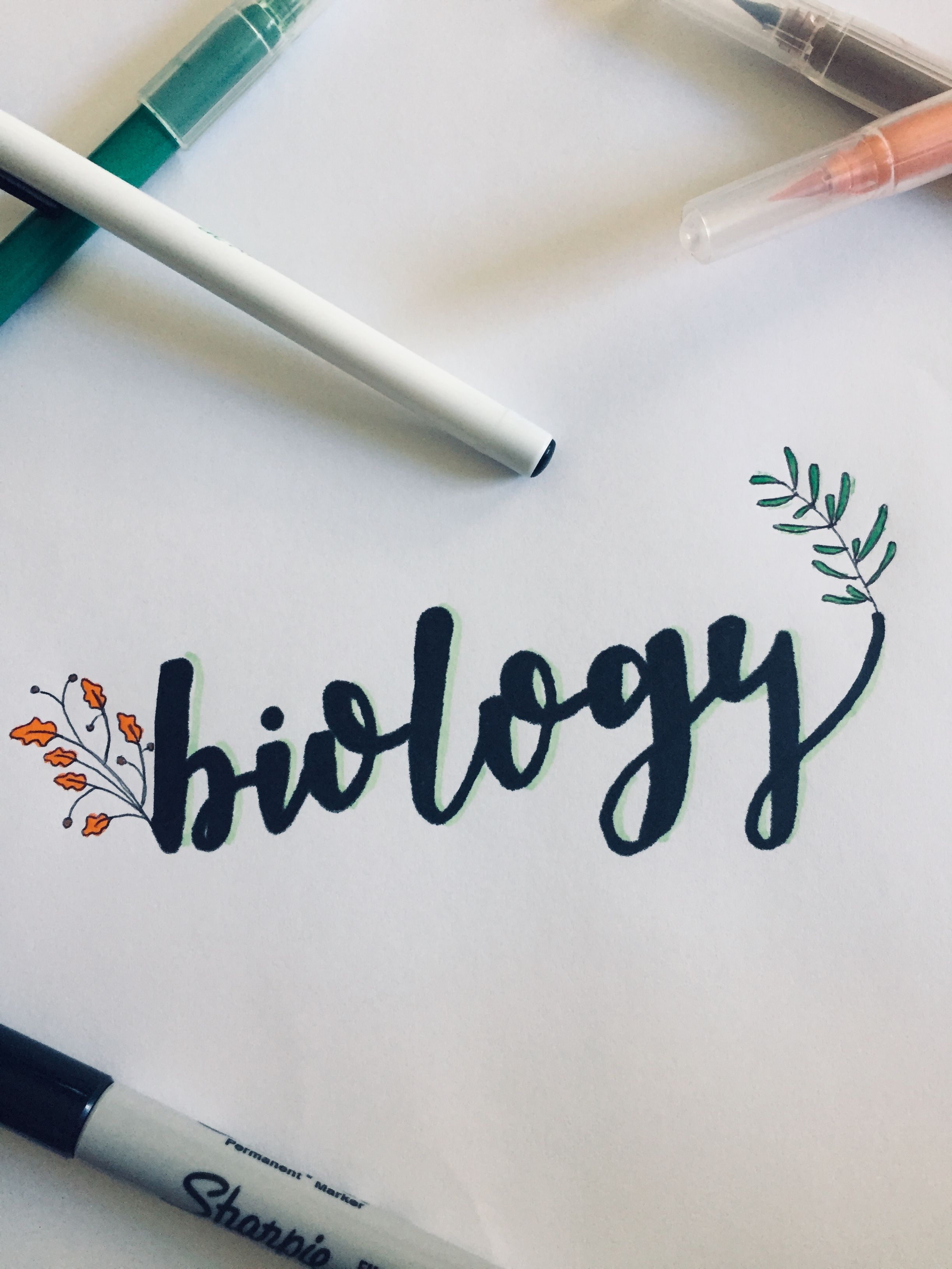 Biology study. Леттеринг. Каллиграфия биология. Biology надпись. Леттеринг цветной.