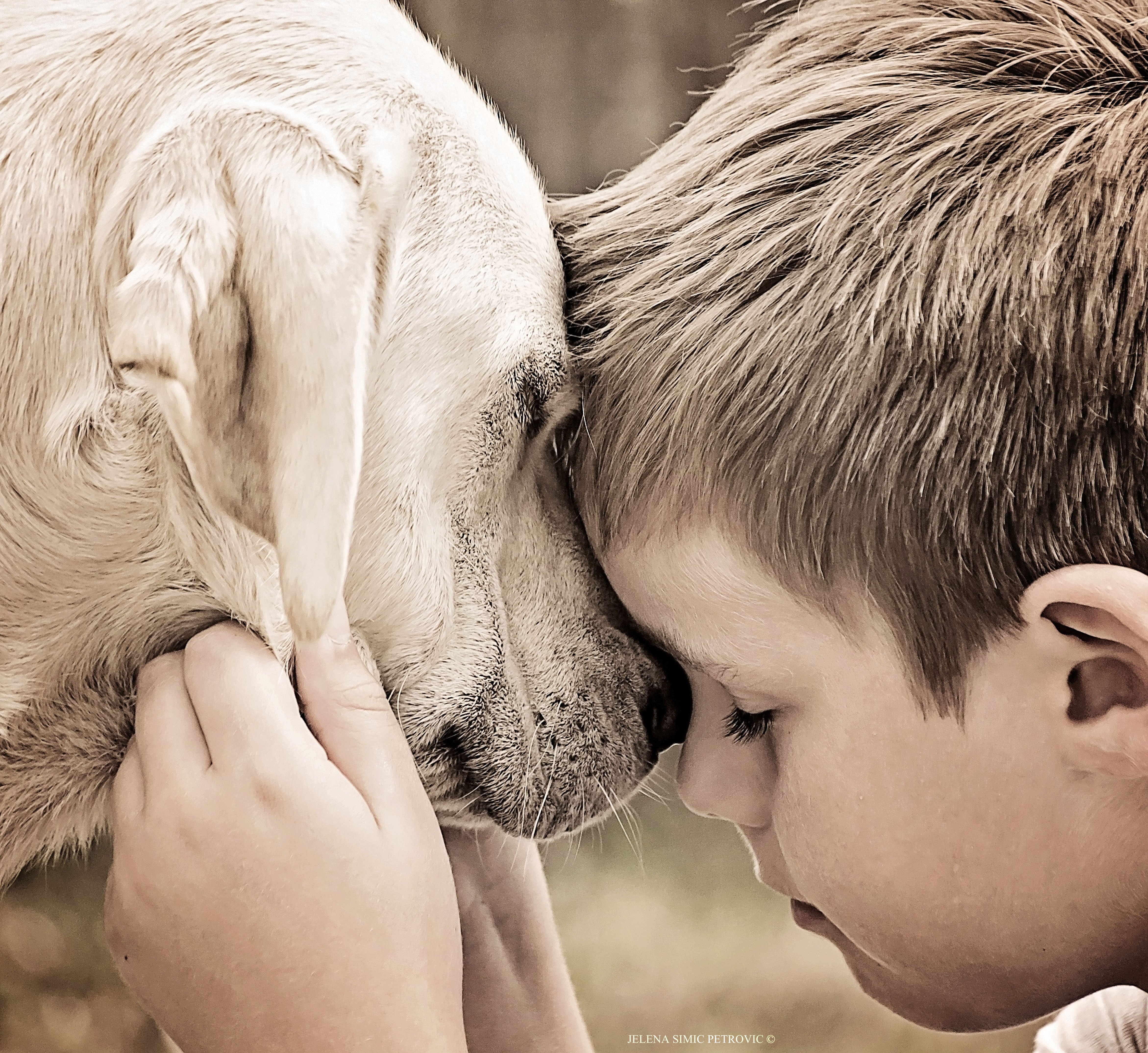 Подлинная забота. Мальчик с собакой. Любовь к животным. Люди и животные.