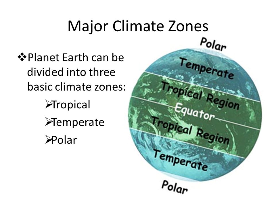 The year is divided. Climate Zones. Climatic Zones. The Earth's climate Zones. Temperate climate.