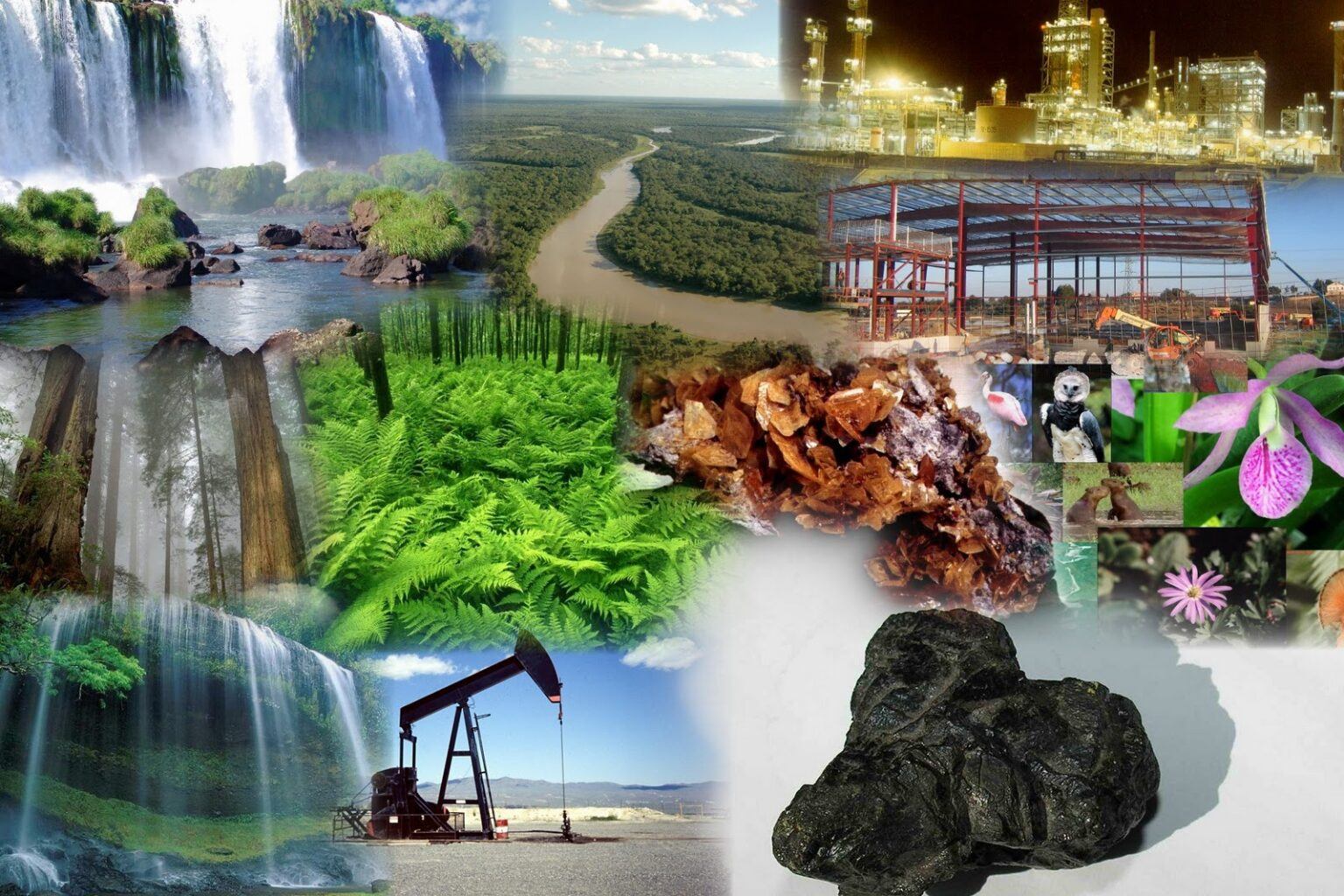 Природные данные и природные качества. Природные ресурсы. Ресурсы земли. Ресурсы природы. Природные ресурсы земли.