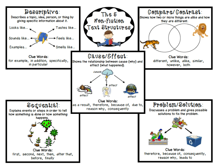 Problems happen. Structure of the text. Similar alike. Topic ideas. What is text structure.