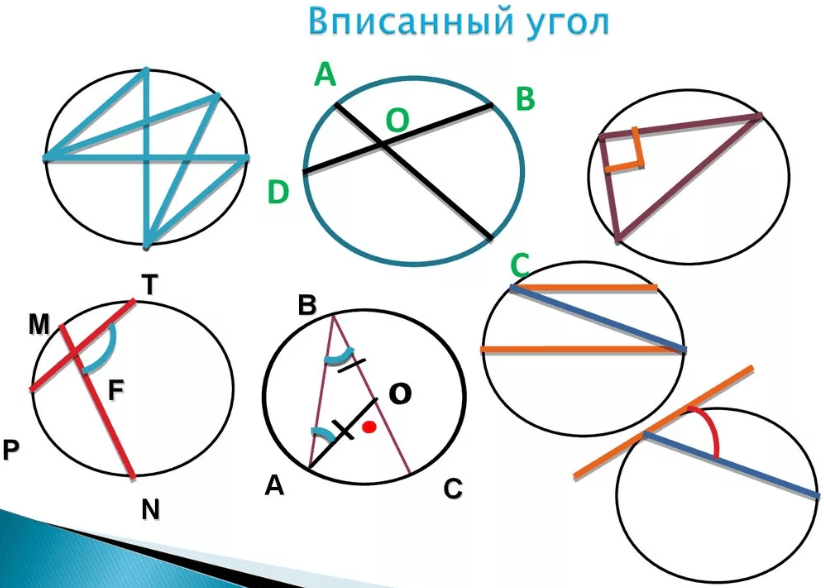 Вписанные и центральные углы картинки