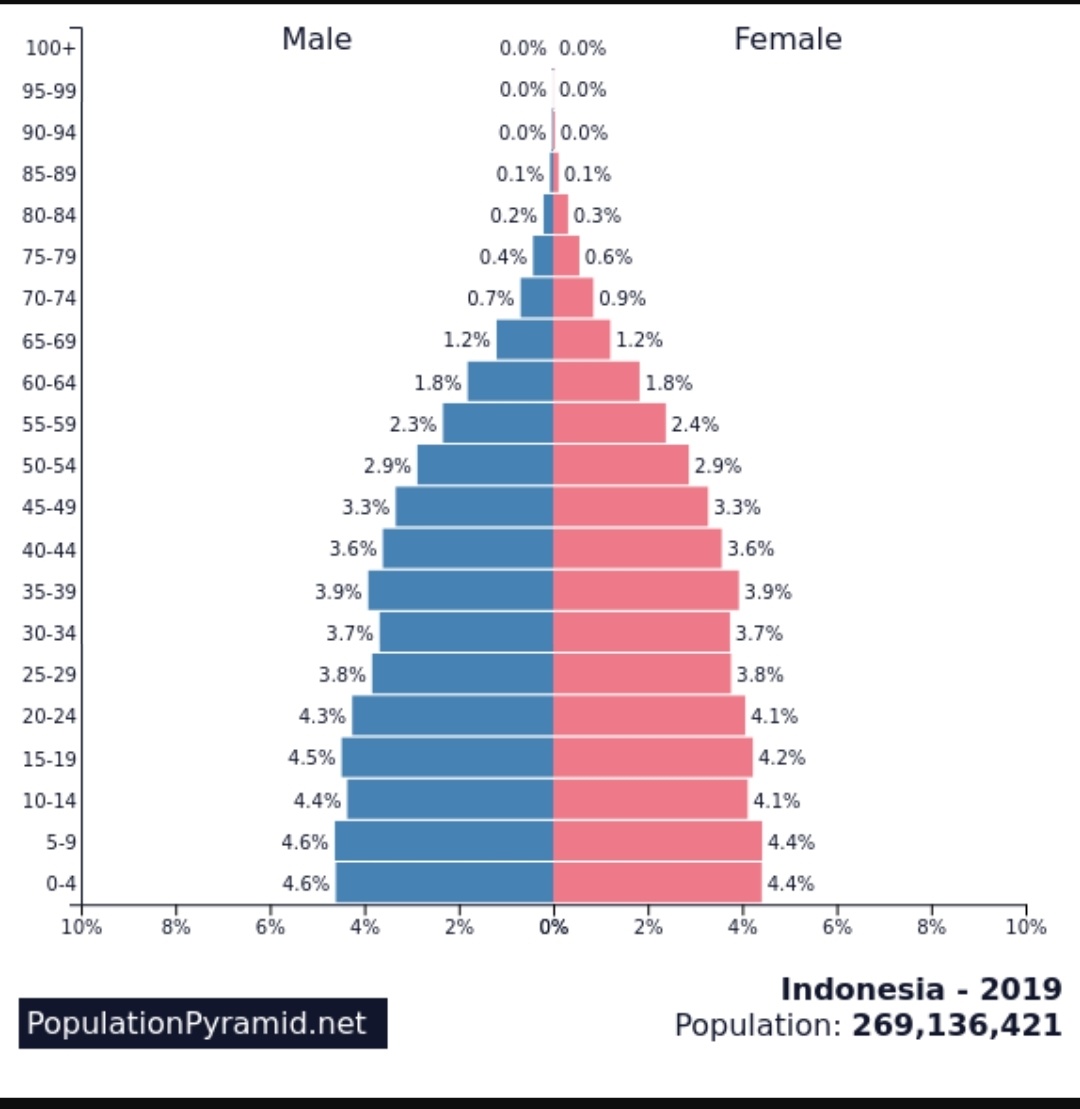 Численность населения индии в 2021 году. Половозрастная пирамида населения Индии. Пирамида населения Бразилии 2020. Половозрастная пирамида Аргентины. Половозрастная пирамида Аргентины 2020.