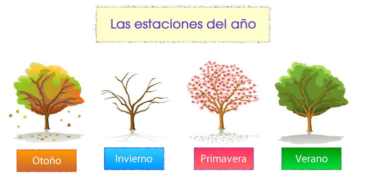 Del ano. Estaciones del ano en Espanol рабочий лист. Estaciones del ano game for Kids.