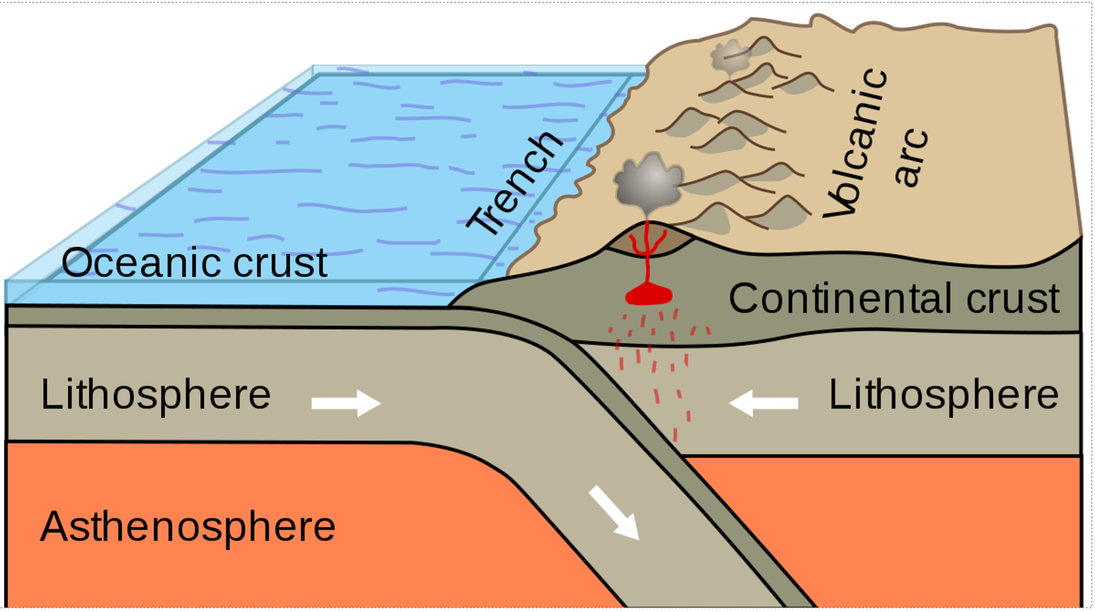 Subduction is the process that occurs when one tectonic plate moves under a...