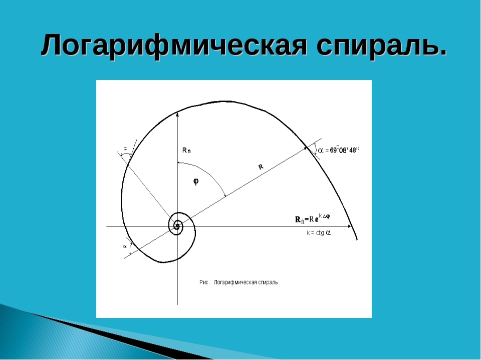 Нарисовать спираль логарифмическая