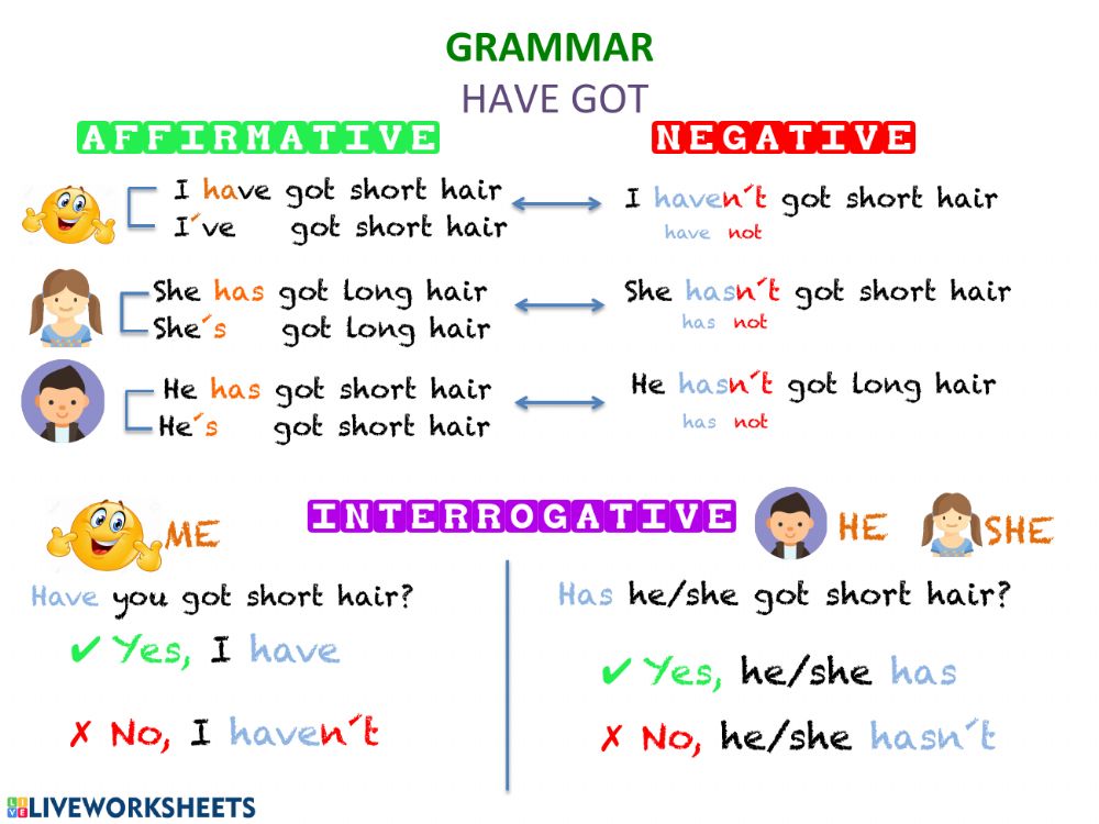 English grammar for kids. Грамматика have got has got. Грамматика have got has got для детей. Грамматика have has. Грамматика i have got.