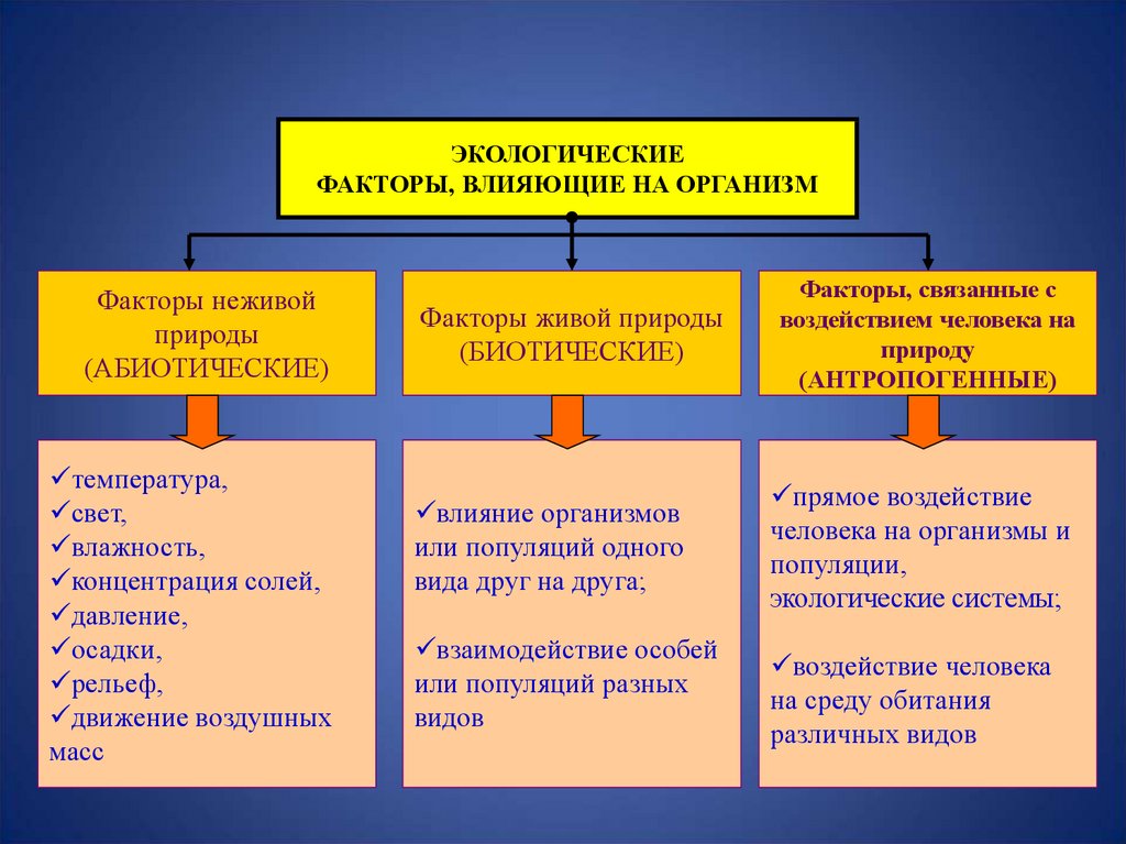 Какой из перечисленных экологических факторов относится