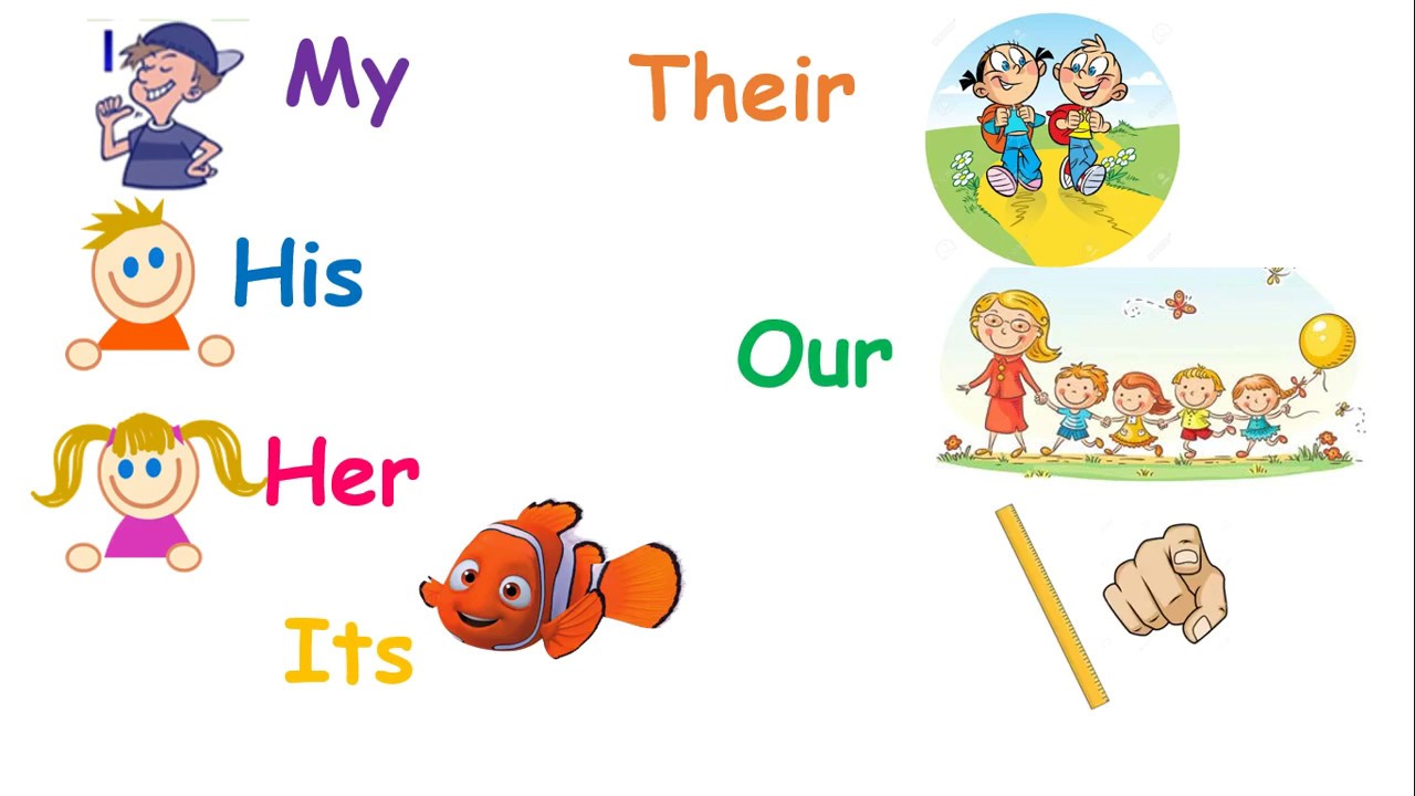 Pronouns picture. Possessive pronouns карточки. Карточки для детей my his her. Possessive pronouns рисунок. Для детей my her his our.