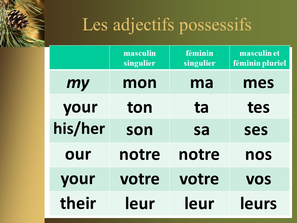 Вежливые местоимения. Притяжательные местоимения французский таблица. Притяжательные местоимения во французском языке таблица. Местоимения на французском. Личные местоимения французский.
