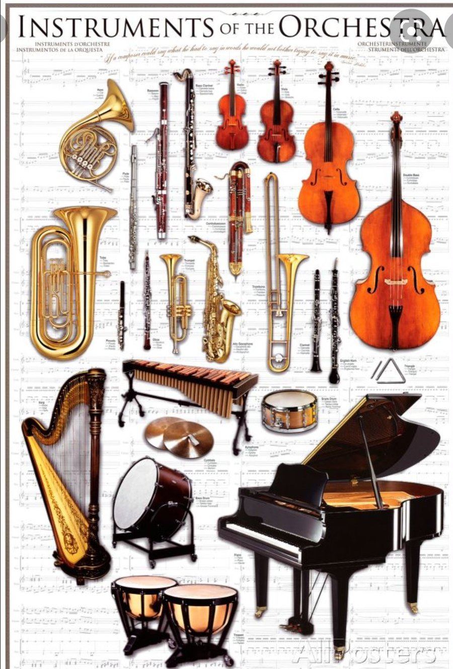 Музыкальные инструменты в классической музыке. Музыкальные инструменты. Музыкальные инструмнт. Инструменты симфонического оркестра. Музыкальный и=нструмент.