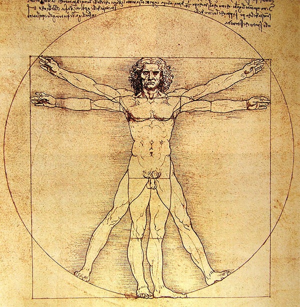 Dibujo de Leonardo Da Vinci “Hombre Vitrubio” que hace referencia a las proporciones ideales del hombre