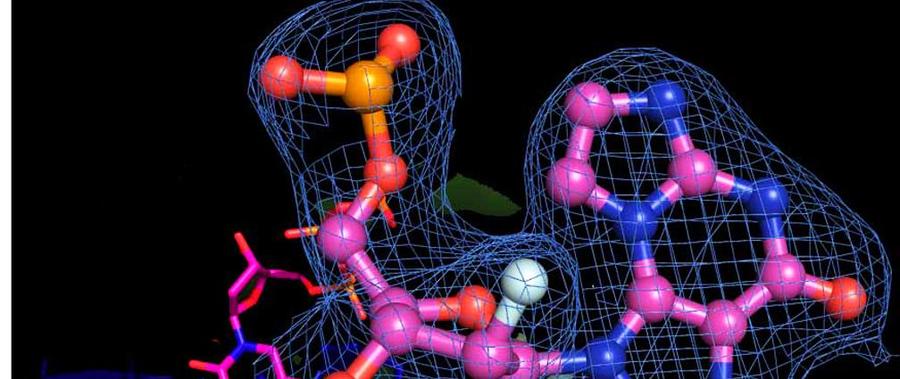 Biochemistry