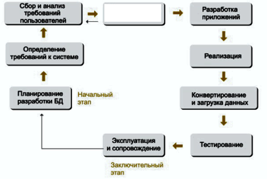 Презентация жизненный цикл базы данных