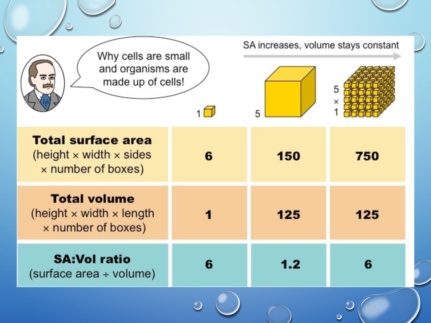 Surface area to Volume ratio. Volume surface area. Volume объем 47. Hence Volume ratio.