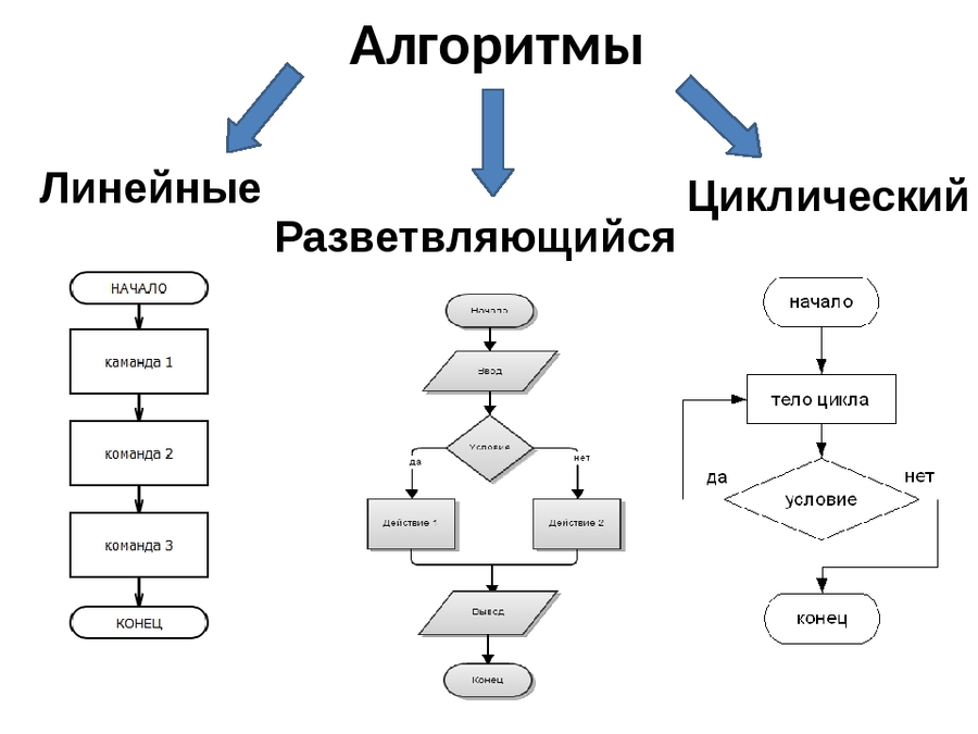 Презентация по информатике 6 класс алгоритмы и исполнители