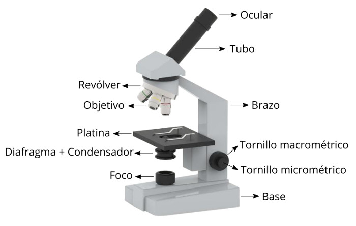 Qué significa microscopio