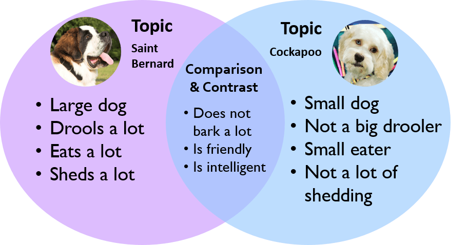 Compare на русском. Compare and contrast. Compare and contrast example. Comparisons and contrasts. Comparison contrast essay examples.